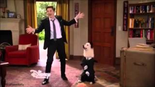 Dog With A Blog Avery Jennings-Timber ღ