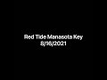 Red Tide Manasota Key 8/16/2021