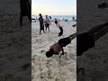 Beach Mannequin Challenge 🏖️😳😳
