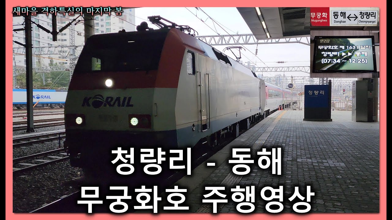 [철도]청량리발 동해행 무궁화호(