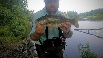 Fly Fishing for Bass using Mop Hopper fly