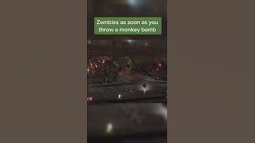 Zombies when you throw a monkey bomb 🤣🤣#twd #zombies #bo1 #viralshorts