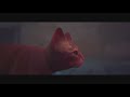 A cute little cat on a very dangerous Adventure - Episode 2😱🐈