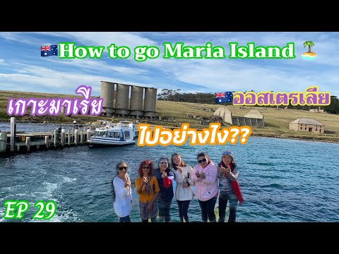 #How To Go Maria Island Tasmania #เกาะมาเรียประเทศออสเตรเลียไปอย่างไง#คนไทยในต่างแดน #เที่ยวทะเล