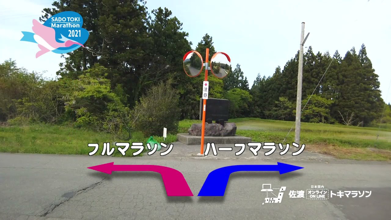 佐渡トキマラソン