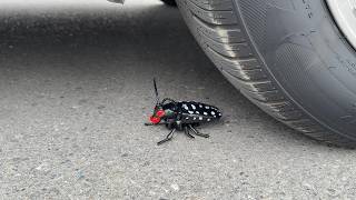 Big Roach Toy Crunchy Soft Things Crushing The Best Car Crushing Compilation Experiments At Home