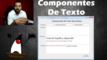 ¿ Cuales son los componentes De Texto Java Swing ?