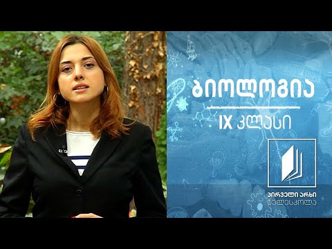 ბიოლოგია IX კლასი - ალელური გენების ურთიერთქმედება #ტელესკოლა