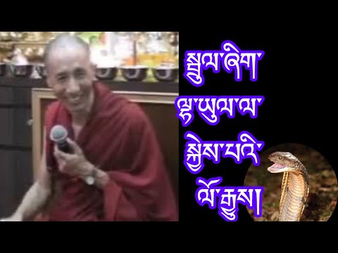 History of one snake born in god realm ​⁠@GuruRinpoche25