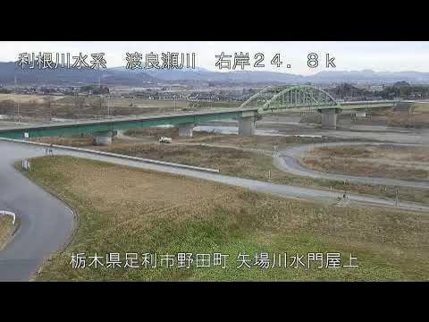 渡良瀬川 利根川水系 栃木県足利市 渡良瀬大橋・高橋大橋 ライブカメラ (2024/01/11) 定点観測 Tone River