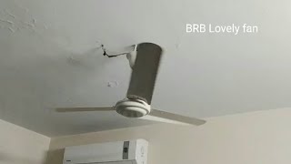 BRB ceiling fan (48' variant)