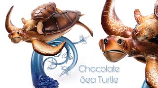 Sea Turtle!