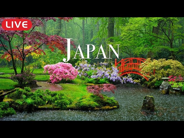 🔴 Relaxing Piano Music “Dreams of Japan” for Studying, Spa, Coffee, Work, Sleeping class=