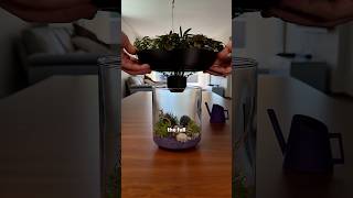Turn a IKEA vase into a three-level living ecosystem! #3dprint #3dprinting #3dprinted #flashforge