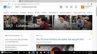 SBCT D2L Collaboration Site Tutorial