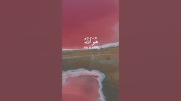 #سورة_الحشر #القارئ_حمزة_بوديب #لا_اله_الا_الله #اللهم_صل_على_نبينا_محمد #quransbeauty1