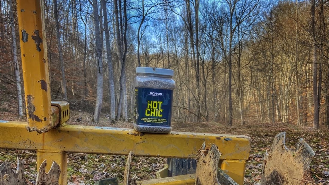 Spring Clover Plot Frost Seeding A Spring Clover Plot - YouTube