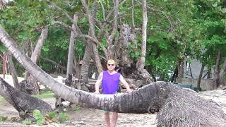 Episode Two Puerto Plata Beach The City Of Stone And Sand May 10th 2024 by Steve Trimboli 7 views 2 weeks ago 3 minutes, 49 seconds