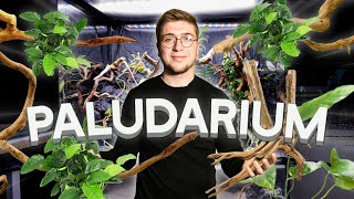 ON FAIT UN PALUDARIUM PLANTÉ (j'ai kiffé)