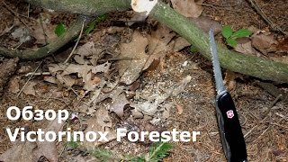:   Victorinox Forester