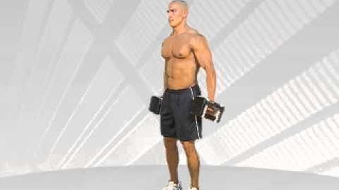 PowerBlock Standing Alternate Curls