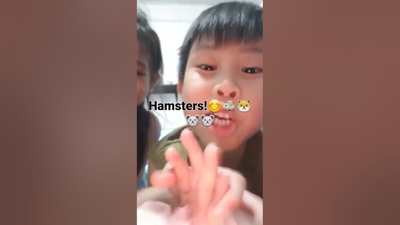 cute-so-much-cute-youtube