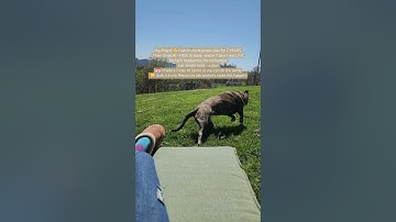 7 Day AI Sprint Digital Download to organize your life and business #wingstrategies