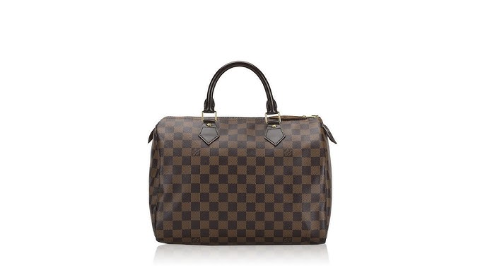 LOUIS VUITTON Damier Azur Favorite PM 122003