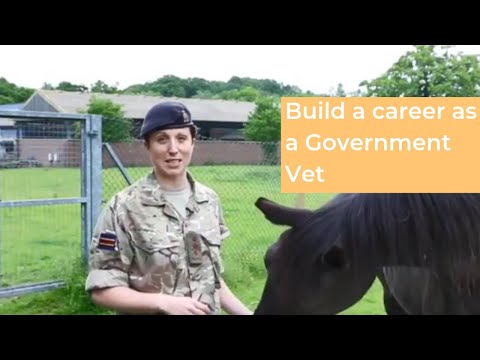 Build a career as a Government Vet