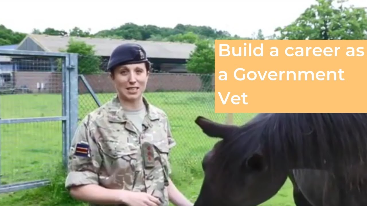 Build a career as a Government Vet YouTube