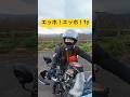 バイク取り回しあるある、エッホエッホ！#バイク女子 #女性ライダー #モトブログ #バイクツーリング