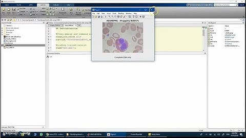 Classifying blood cells using CNN