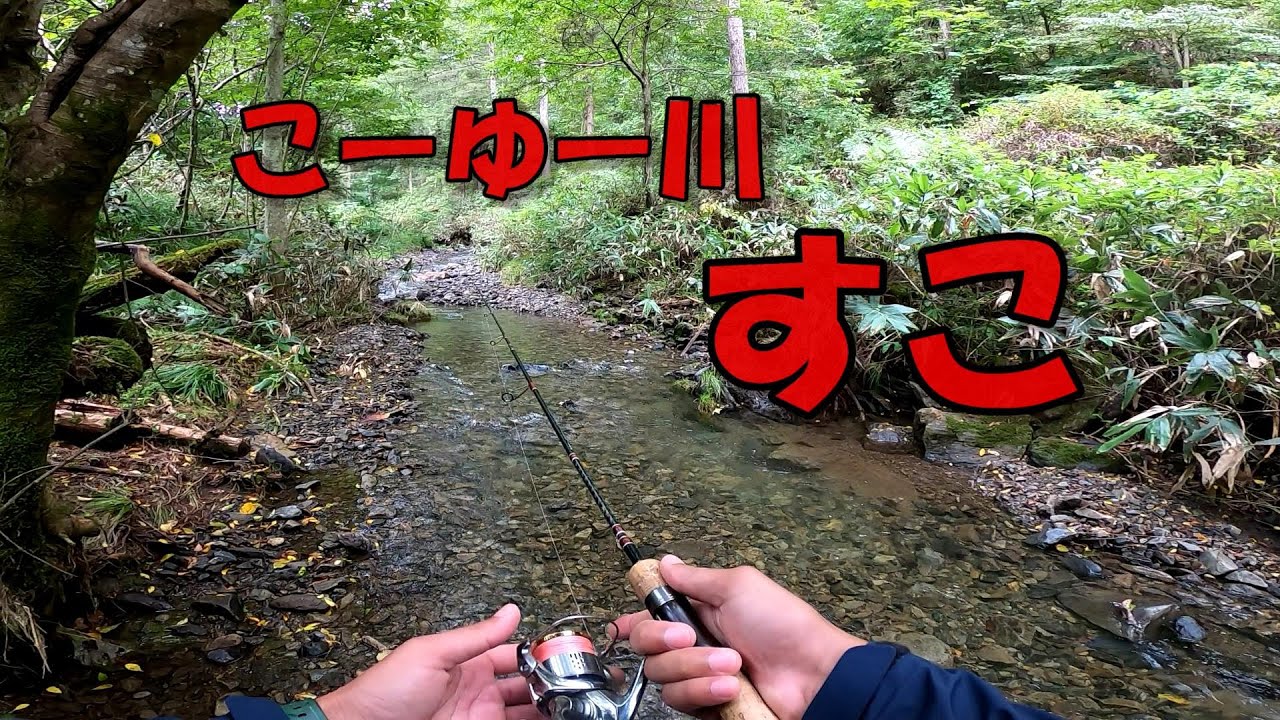 9月に見つけたとある川がいっぱい魚いた