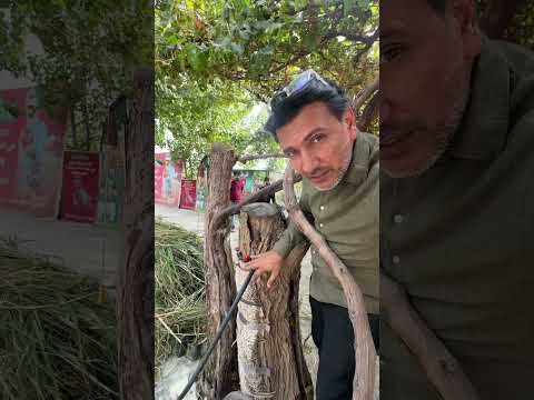 إذا كنت تعرف ما هو هذا ولماذا استخدمناه كتجربة لاختيار الرمان فماذا أنشأنا أيض ا