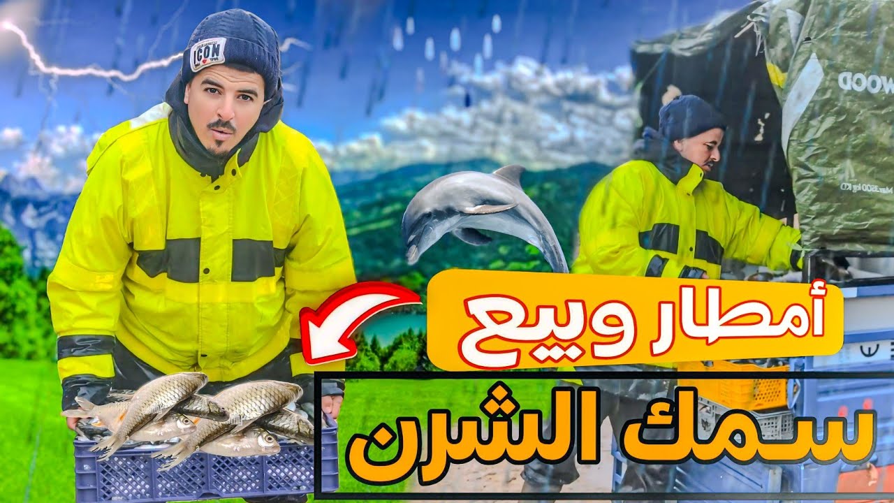 بيع الأسماك مع أجواء ممطرة 🌧️وأرباح تبارك الله لم أحصل عليها من قبل 😲💸