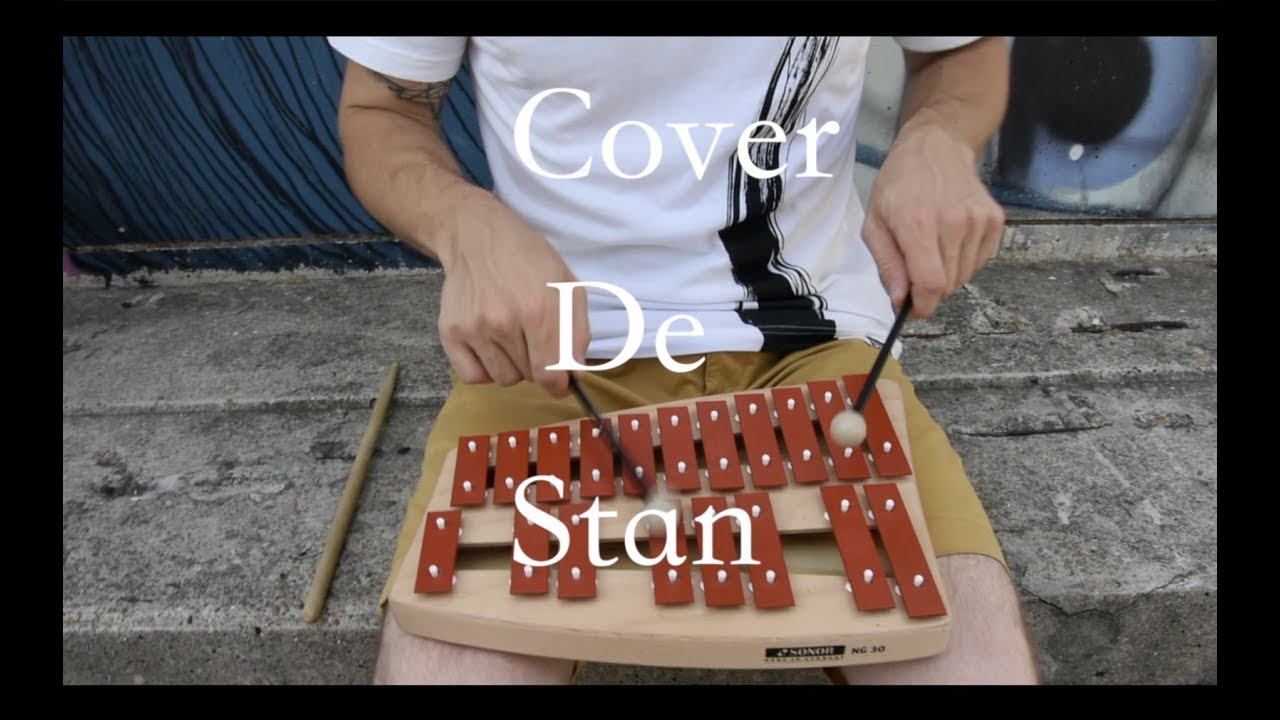 Batard   STROMAE   Cover de Stan