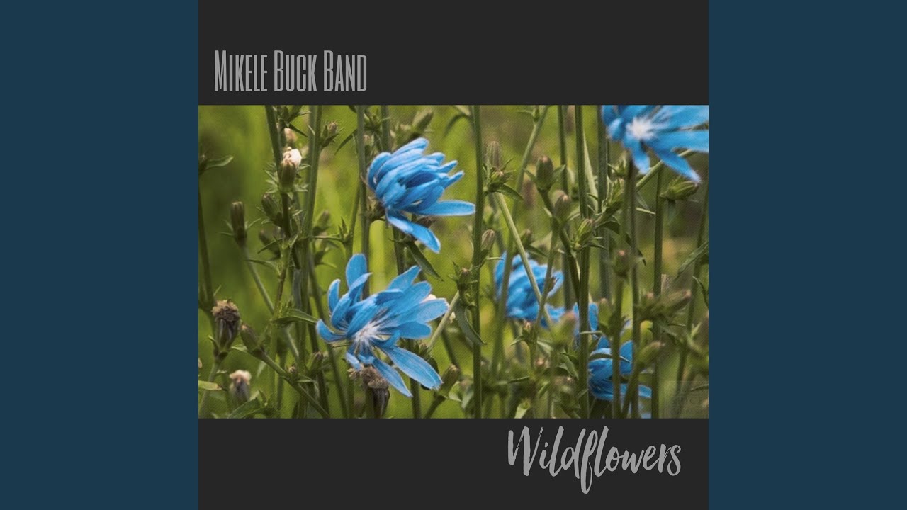 Wildflowers YouTube