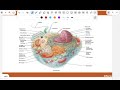 The Cellular Level of Organization ( ch 2 )