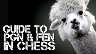 Guide to PGN and FEN in Chess screenshot 1