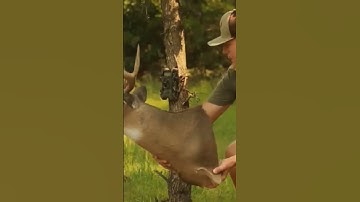Pranking my dad!#feathersandfins#deerhunting#prank