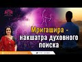 Мригашира - накшатра духовного поиска | Mrigasira - The Nakshatras of spiritual quest