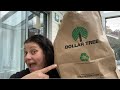 Fun dollar tree haul  april 2 2024