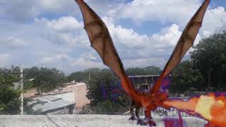 Dragon In Real Life Attack Fire Dragonnaa Palle Tv