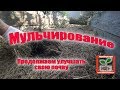 Мульчирование \  Mulching \Продолжаем улучшать свою почву