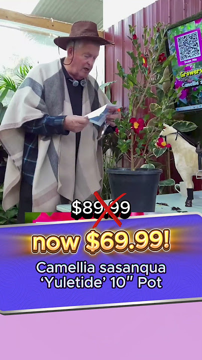 We Have the Best Plant Deals in Our Bargain Bonanza.