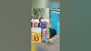 This is a video that can make you happy all day long.