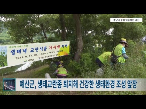 6월 3주차 [비주얼예산뉴스]