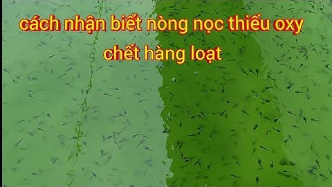 nguyên nhân nòng nọc 2 đến 8 ngày chết hàng loạt