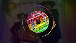 Mosaico Guanaco #8 / Grupo Guanaco Sólido® #Guanatizate