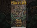 TEENAGE NINJA TURTLES